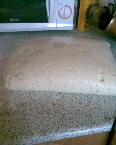 Дрожжевое тесто в целлофановом пакете в холодильнике