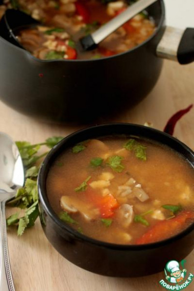 суп японика