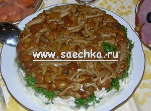 Грибная поляна