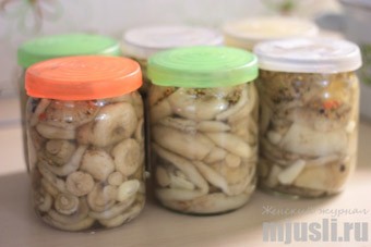 грузди соленые