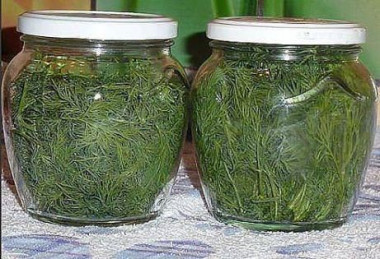 Хранение укропа на несколько месяцев свежим без заморозки 