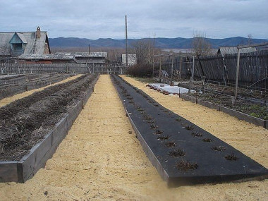 УДИВИТЕЛЬНЫЙ ОГОРОД ИГОРЯ ЛЯДОВА Овощной контейнер – это высокая грядка