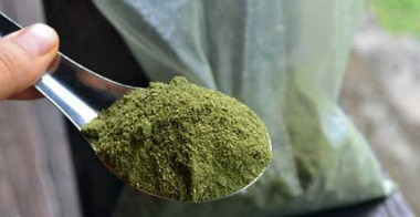 О ЦЕЛЕБНЫХ СВОЙСТВАХ ПОРОШКА ИЗ КРАПИВЫ