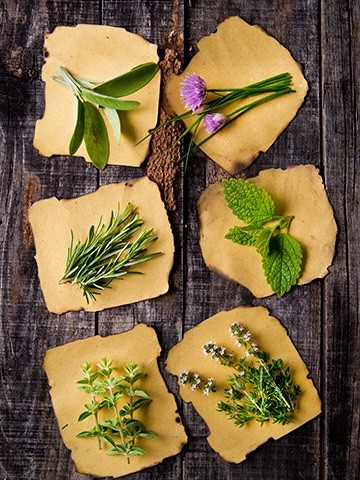 ЛЕТНИЕ ТРАВЫ: МЕНЮ С ЗЕЛЕНЫМ НАСТРОЕНИЕМ