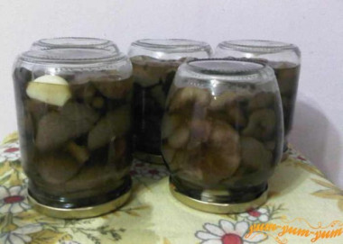 Маринованные маслята