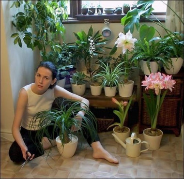 Какие цветы нужно держать дома, если… 