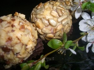 Сырные шарики"Фейерверк вкусов"