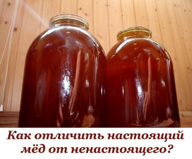 Как отличить настоящий мёд от ненастоящего?