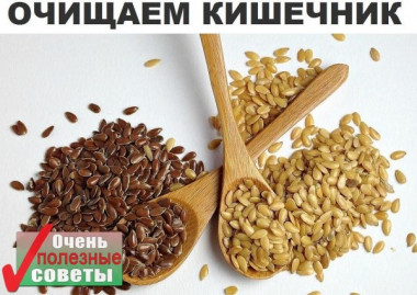 Чистка кишечника, семена льна