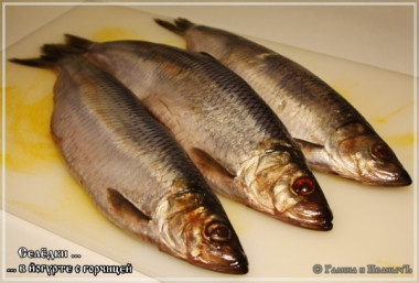 Рецепт "Сельдь в йогурте с горчицей":