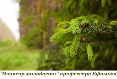 Эликсир молодости ПРОФЕССОРА ЕФИМОВА.