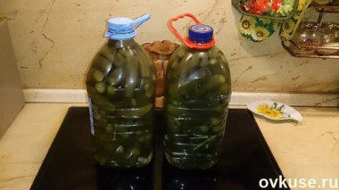 Соленые огурцы (как из бочки) в пластиковой бутылке.