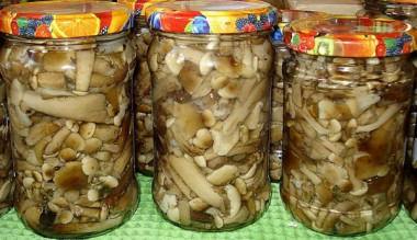 МАРИНОВАННЫЕ ОПЯТА