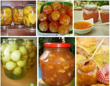  ЗАГОТОВКИ ИЗ ЯБЛОК