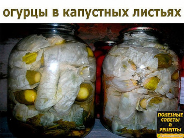 огурцы в капустных листьях