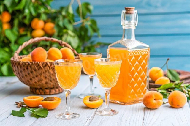 Домашняя абрикосовая настойка