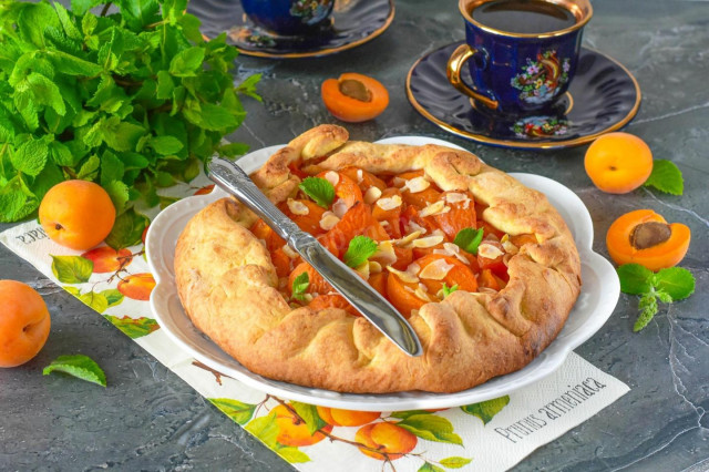 Домашняя галета с абрикосами