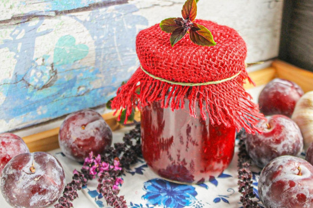 Соус из сливы к мясу на зиму сливовый