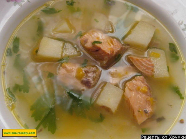 Простой суп из консервированной горбуши или лосося с овощами