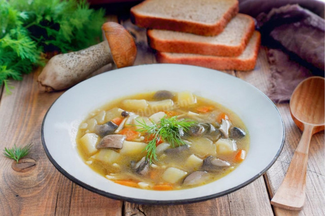 Грибной суп из лесных грибов