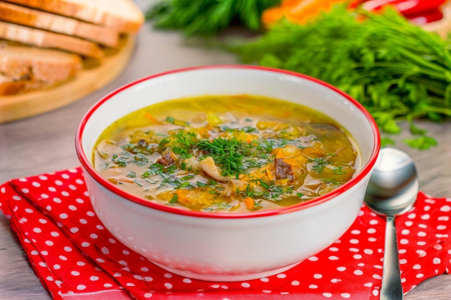 Щи из кислой квашеной капусты с грибами