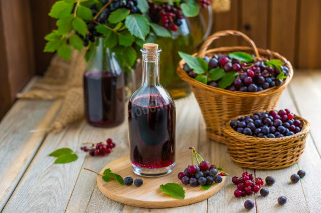 Домашнее вино из ирги