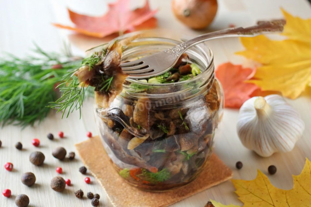 Засолка опят холодным способом на зиму