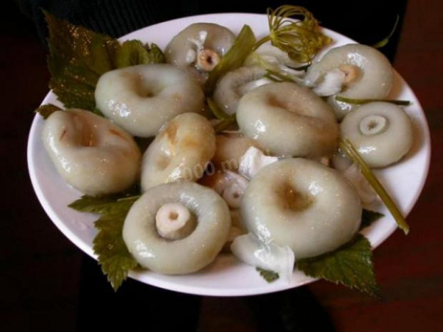 Засолка белых груздей горячим способом закуска на зиму