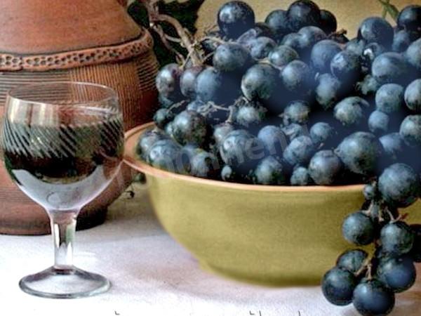 Домашнее вино из синего винограда