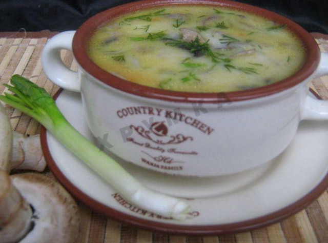 Суп с грибами шампиньонами сыром фаршем